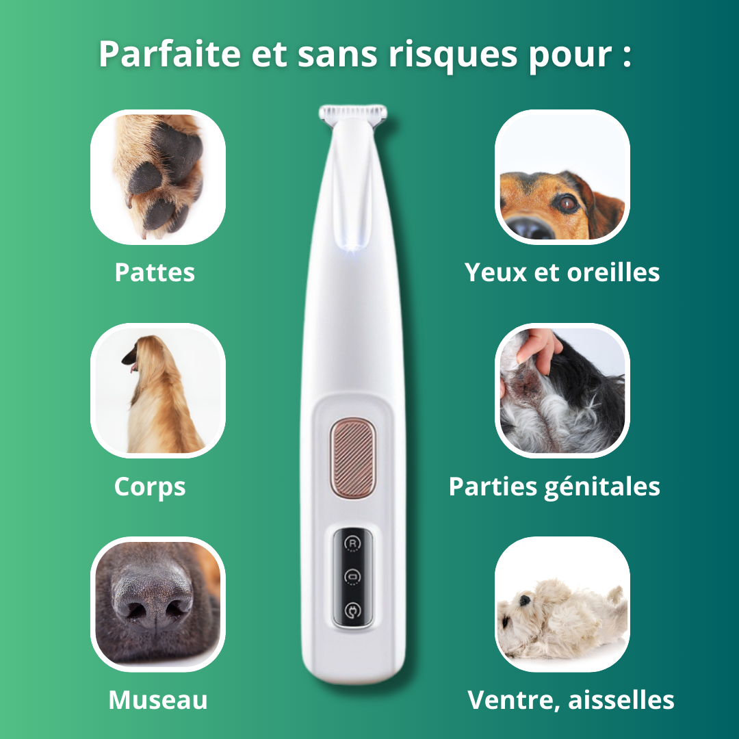 Tondeuse Vétérinaire PawTrim PRO -  Anti coupure et Silencieuse